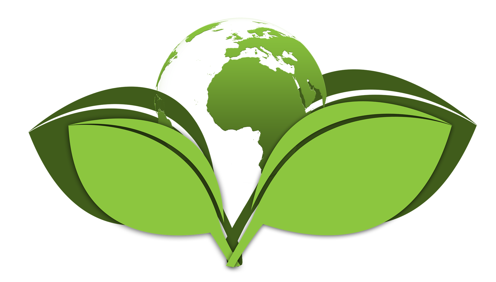 eco-friendly moving